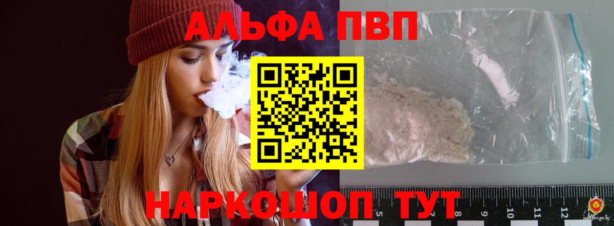 Альфа ПВП СК Котлас