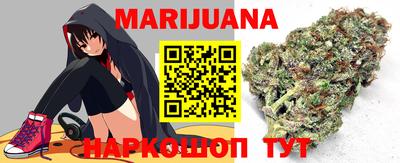 тгк Кингисепп
