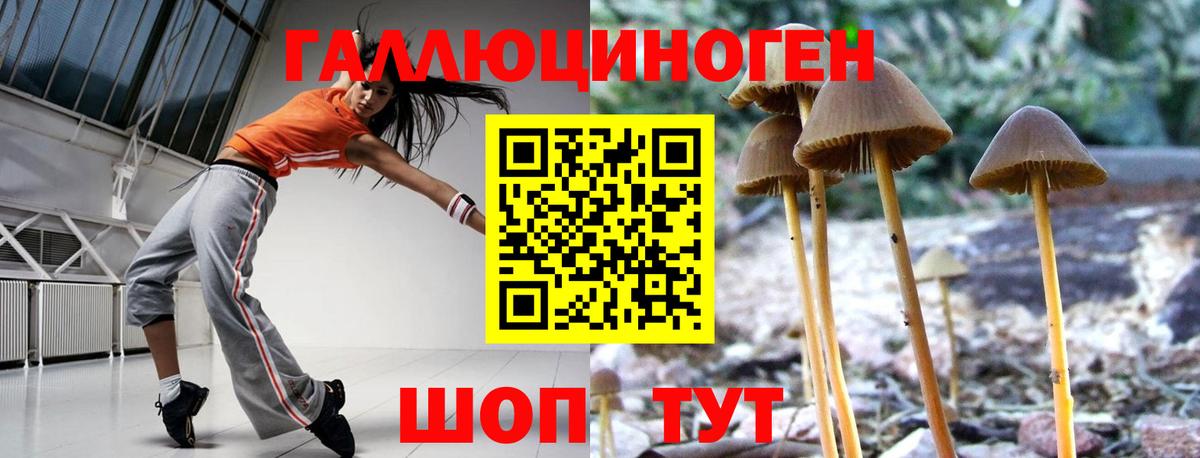 Галлюциногенные грибы ЛСД Котлас
