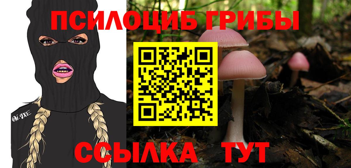 Котлас  Псилоцибиновые грибы MAGIC MUSHROOMS  Вход с VPN 